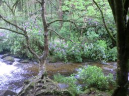 Irland 2013